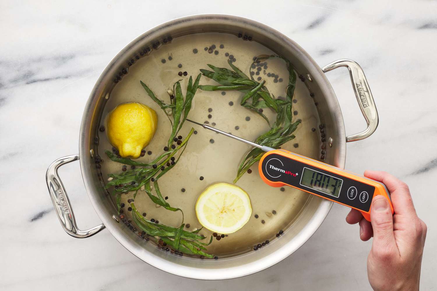 A large pot of water, salt, sugar, whole peppercorns, tarragon sprigs, and a halved lemon, with a thermometer reading 180 degrees Fahrenheit 