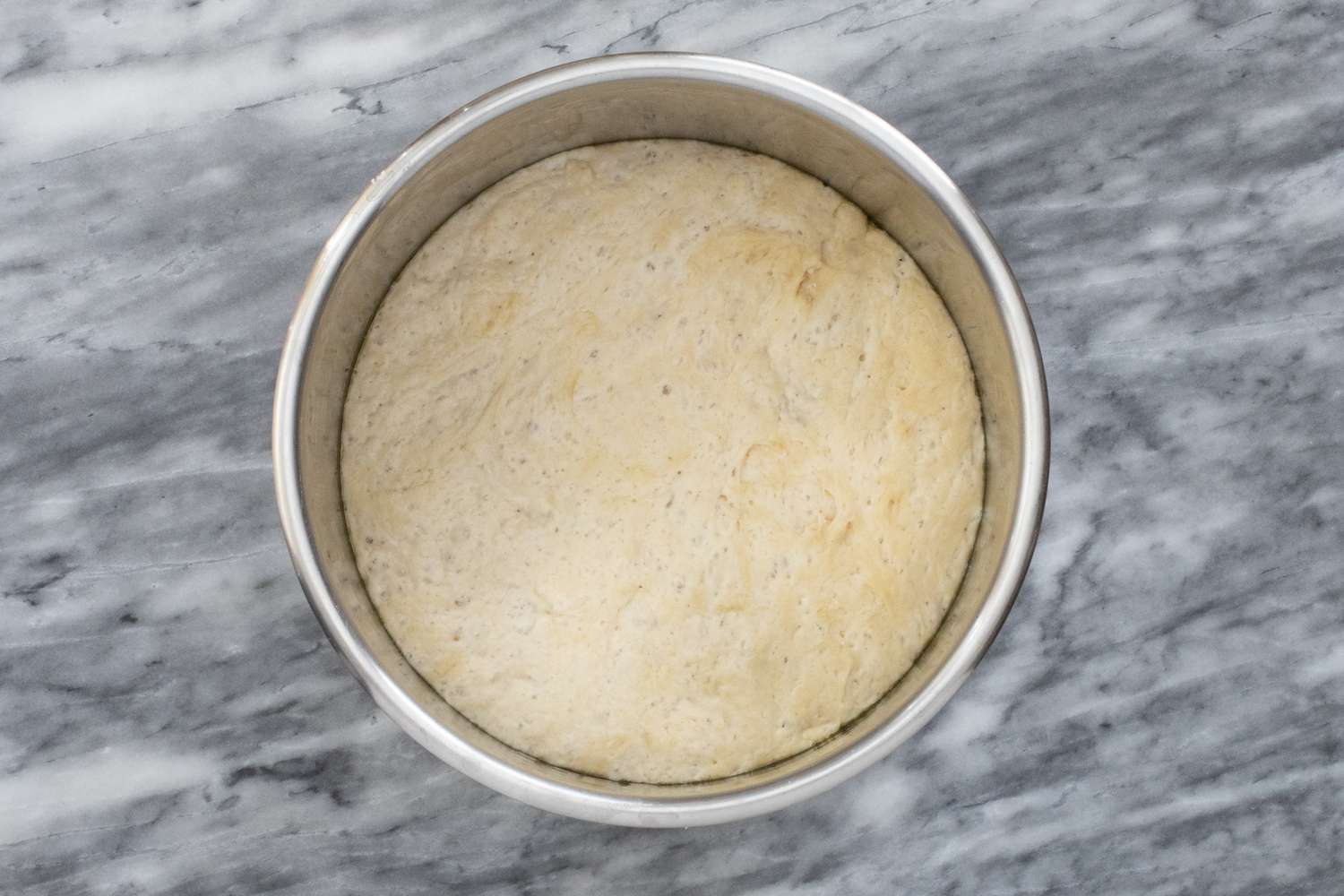 Bread dough in the Instant Pot