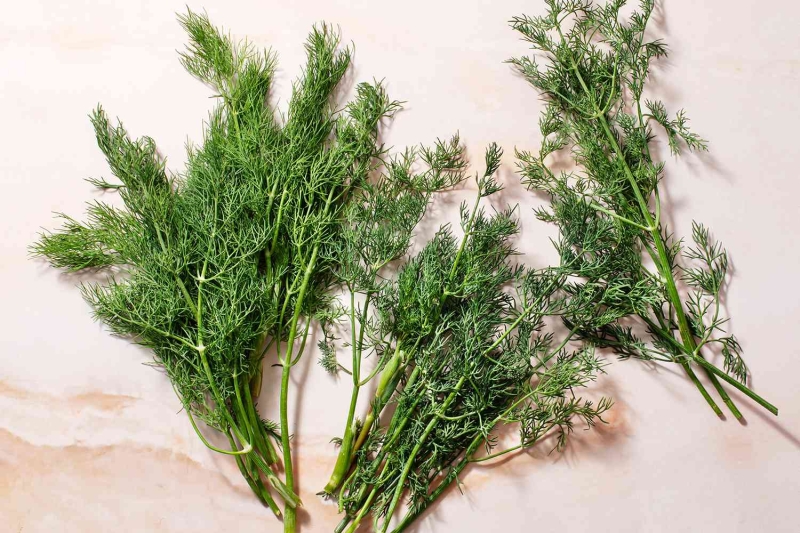 What Is Dill?
