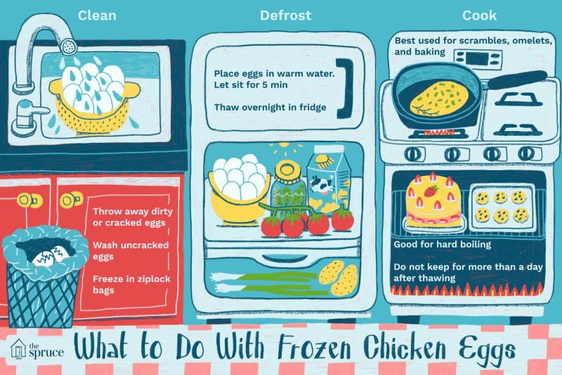 What to Do With Frozen Chicken Eggs
